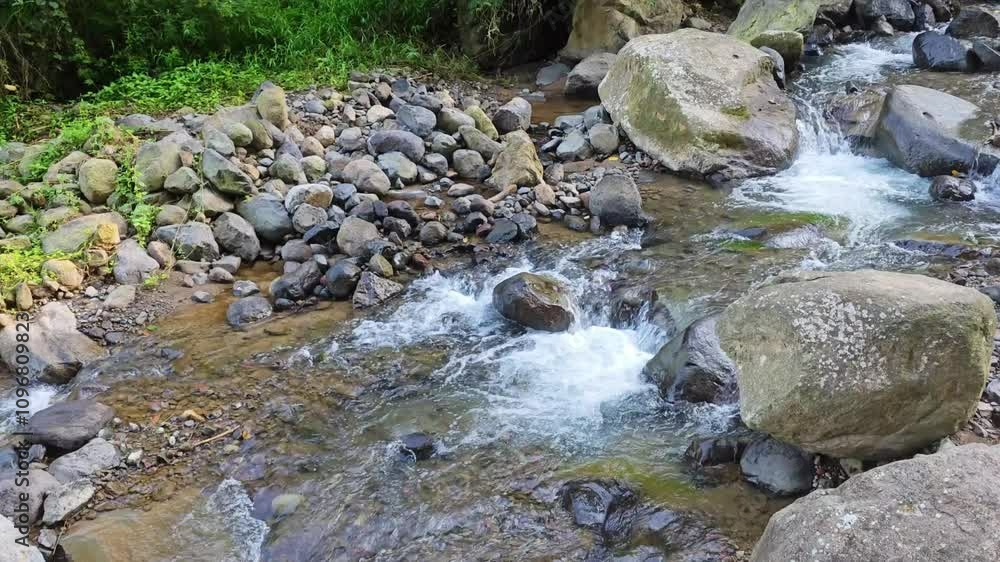 Wild mountain river with clear water. Abundant clear streams in the forest. Splash of cold water Wild mountain river with clear water. Abundant clear streams in the forest. Splash of cold water