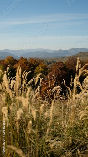 Vibrant Autumn Scene with Golden Grasses and Majestic Mountains photo