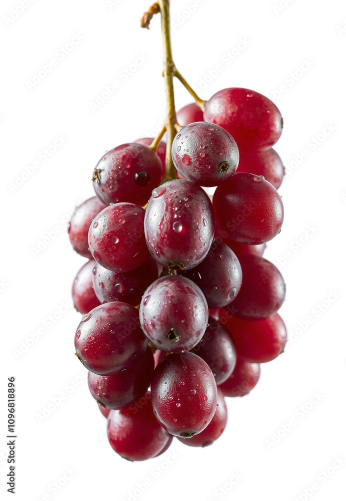 Fototapeta premium banch of grape with water droplets on it, transparent png