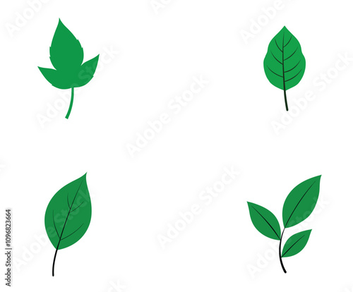 green leaves isolated on white background 