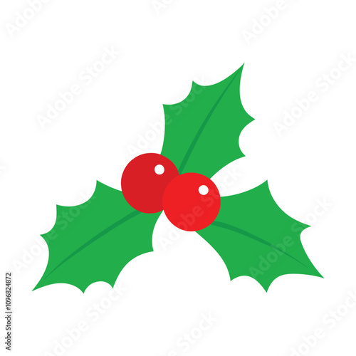 Christmas holly and berries on white background