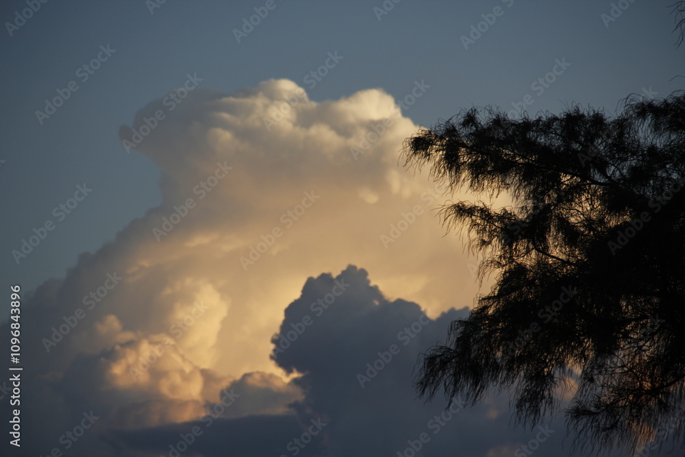 Cloudy sky and tree Cloudy sky and tree