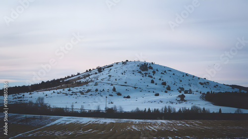 A snow-covered hill under a pale winter sky