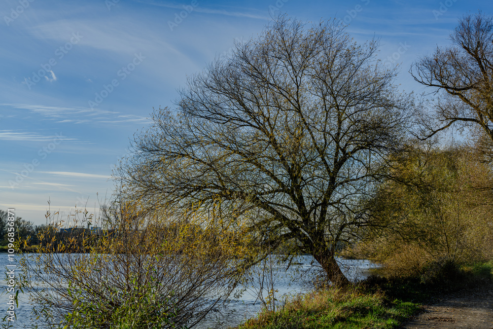 Am Ufer der niederbayerischen Donau Am Ufer der niederbayerischen Donau