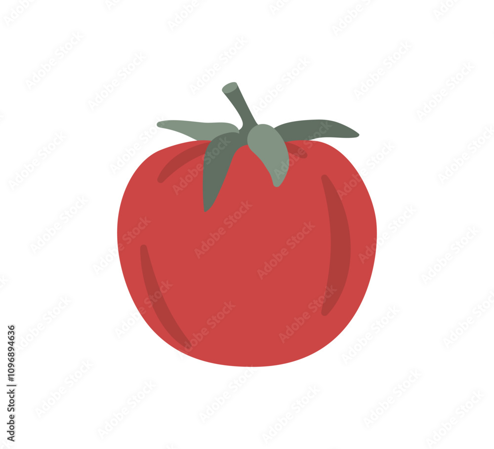 Red tomato isolated on white background. Hand drawing vector illustration Red tomato isolated on white background. Hand drawing vector illustration
