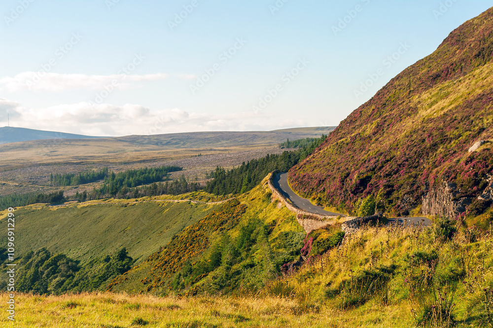 Naklejka premium A road winds its way up a hillside with a lush green landscape in the background