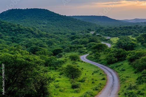 Scenic rural road winding through lush green hills at sunset for tranquil travel inspiration