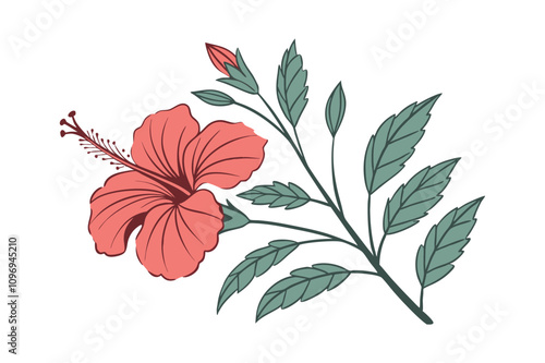 Vibrant red hibiscus flower with green leaves vector illustration on white background photo