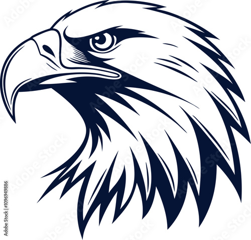 american bald eagle head