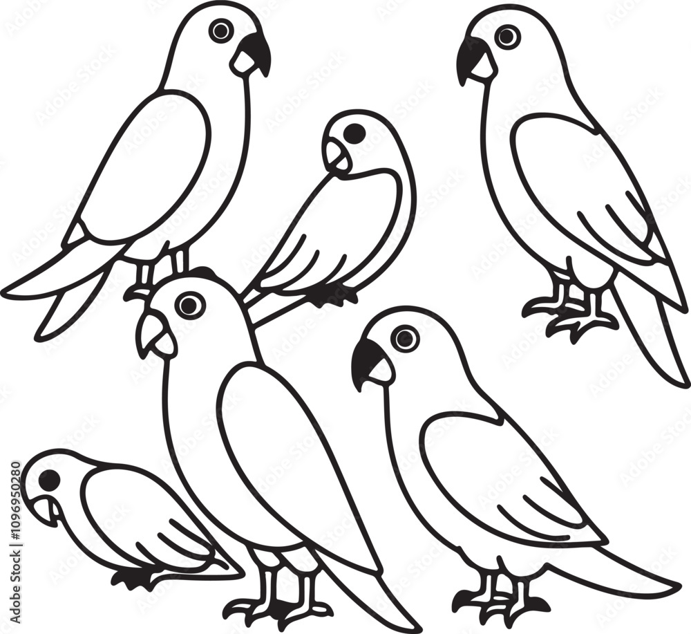birds on a branch parrot birds on a branch parrot