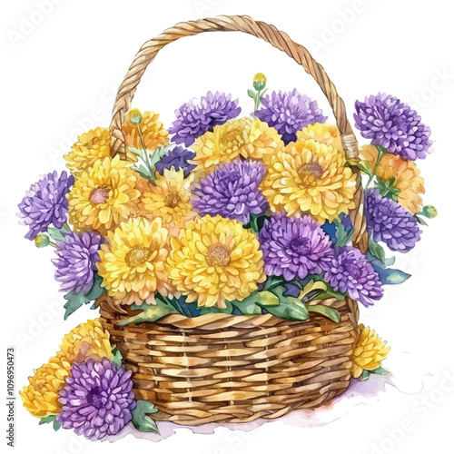 A watercolor drawing of Chrysanthemum flower basket, isolated on a white background. Chrysanthemum vector.