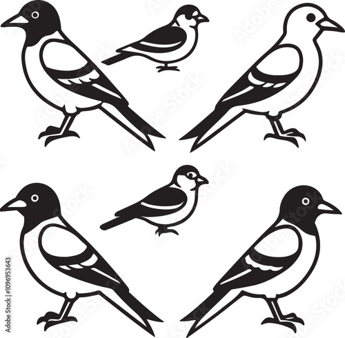 Wallpaper Mural birds on a branch Torontodigital.ca