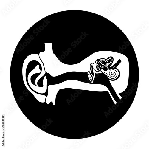 Human ear anatomy icon logo with full ear anatomy 