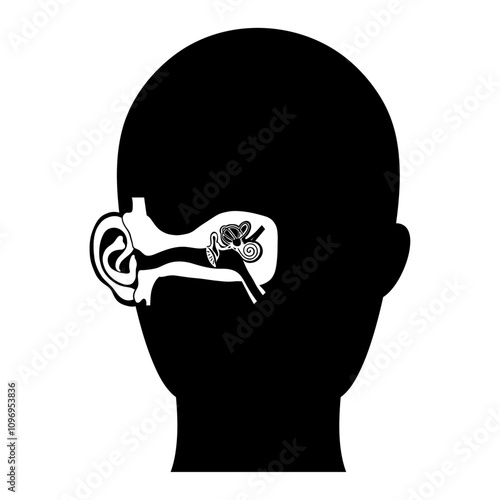 Human ear anatomy icon logo with full ear anatomy 