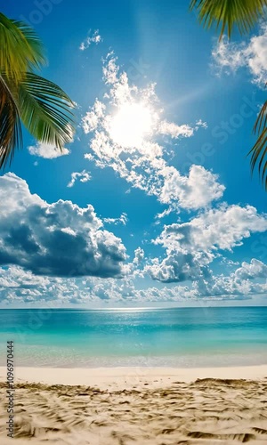 Vertical View of a Beautiful Beach with Palm Trees and Clear Blue Sky, Bright Sun and Calm Ocean