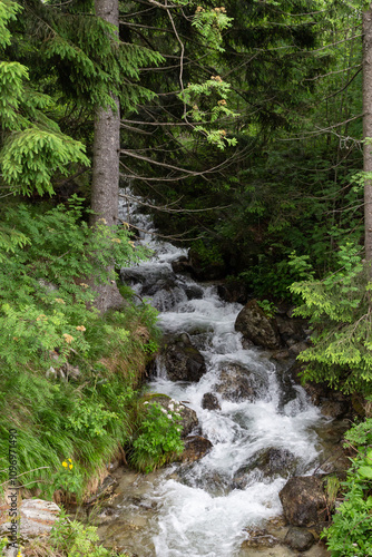 Majestic Waterfall Cascading Through a Forest