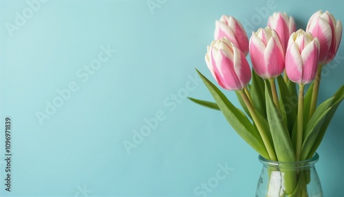 Pink Tulips in Glass Vase Representing Spring against Turquoise Background with Copy Space