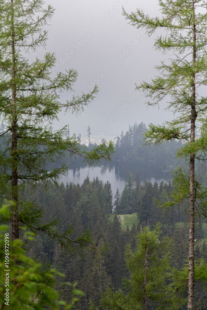 Serene Forest Lake Surrounded by Trees