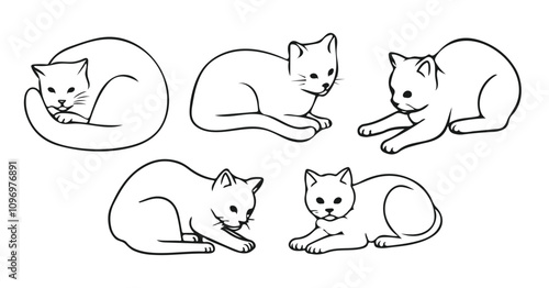 cats line art vector draw.