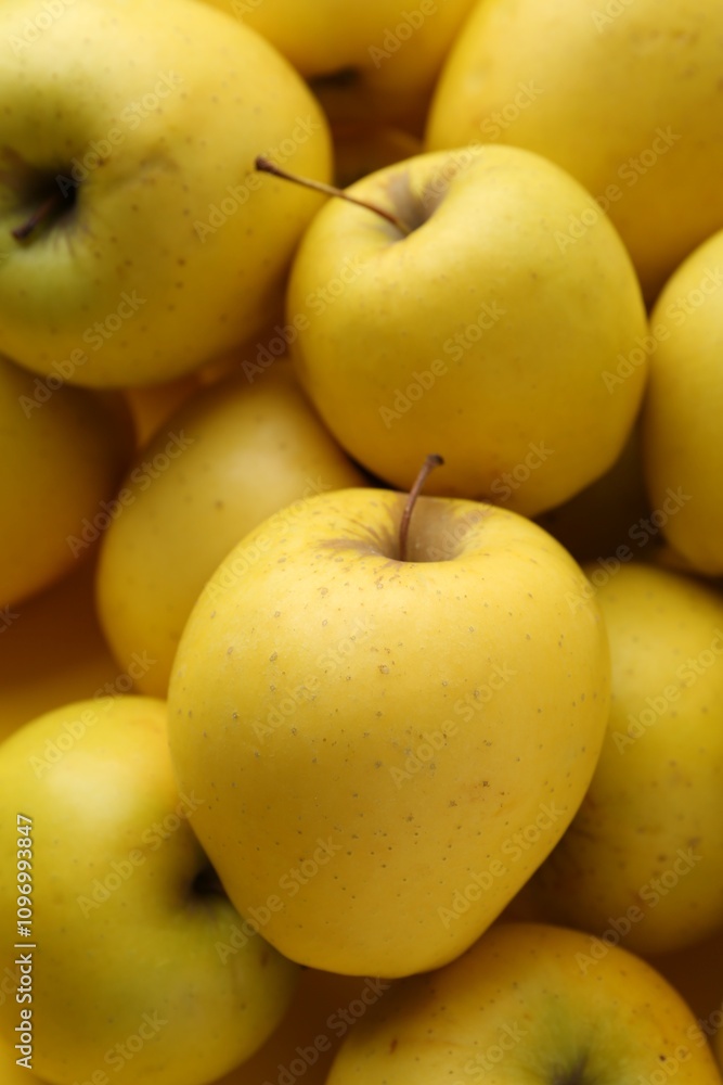 Fresh ripe yellow apples as background, closeup Fresh ripe yellow apples as background, closeup