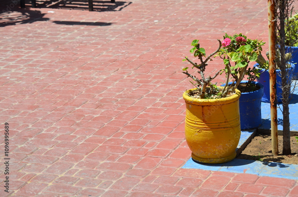 Naklejka premium Vibrant yellow and blue flower pots on a sunlit red-brick street in Essaouira, Morocco, adding a splash of color and charm to the urban scene with simple potted plants 