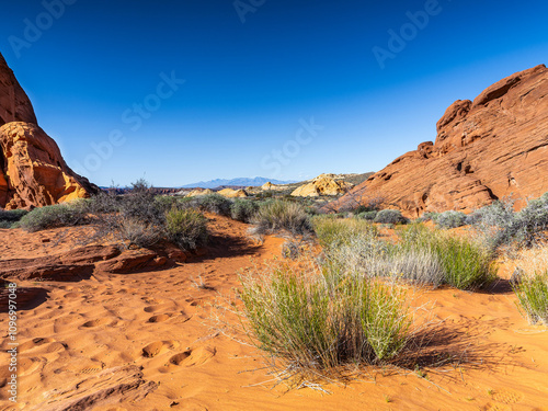 Das Valley of Fire und seine wunderschönen Felsen photo