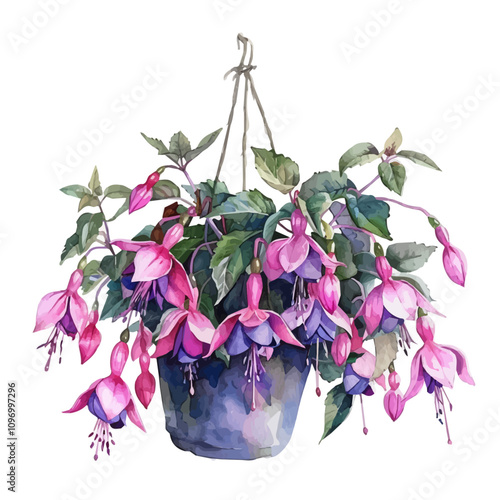 A watercolor painting of Fuchsia vase, isolated on a white background. Fuchsia vector.