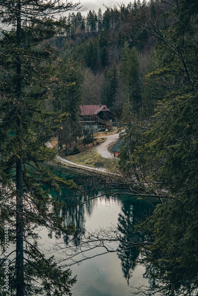 Scenic view of a rustic cabin by a lake surrounded by dense forest, reflecting the natural beauty