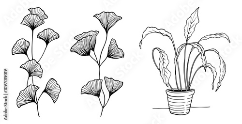Handmade sketch of artistic flowers and plants, line drawing illustration without background in vector