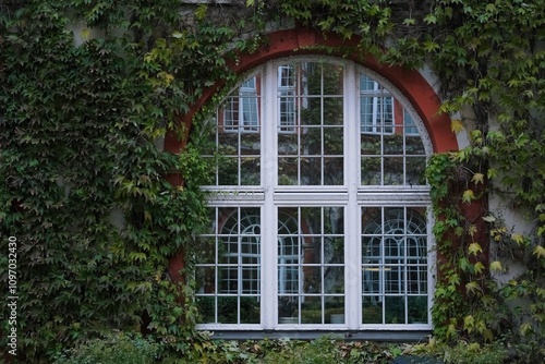 A beautiful arched window framed by lush green ivy, creating a natural and historical aesthetic. 