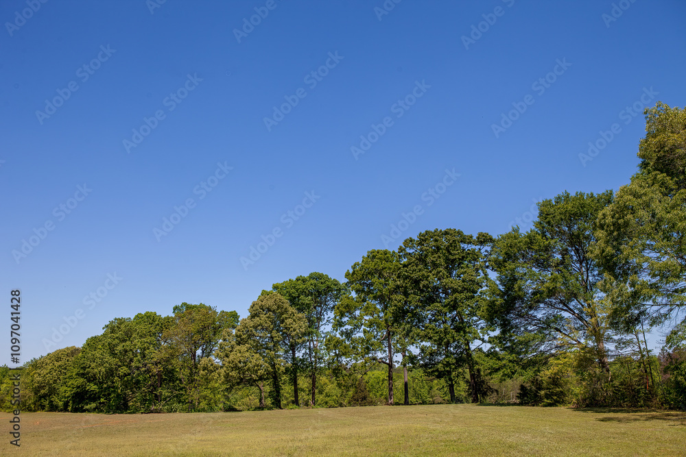 Scenic Golf Course Landscape with Blue Sky and Tree-Lined Edge Scenic Golf Course Landscape with Blue Sky and Tree-Lined Edge