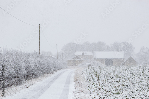 snow covered road in winter