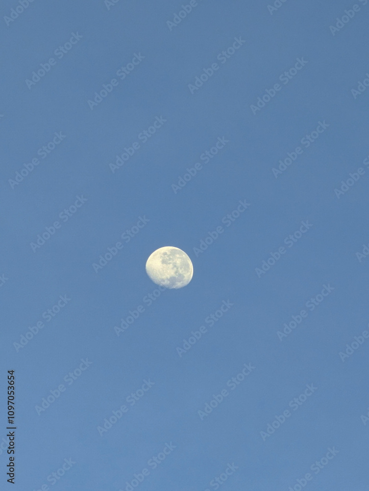 Close-up of a half-moon captured during the day, with detailed surface features set against a clear blue sky Close-up of a half-moon captured during the day, with detailed surface features set against a clear blue sky