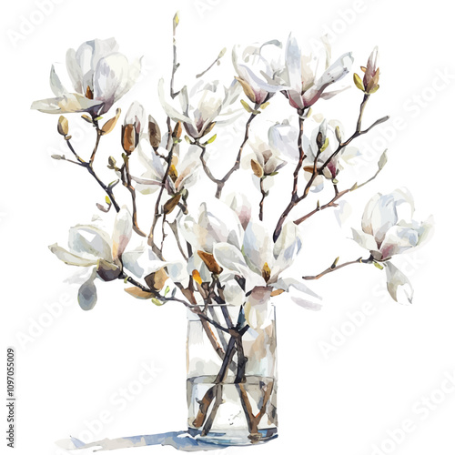 A watercolor clipart of Magnolia Blossoms, isolated on a white background. Magnolia Blossoms vector.