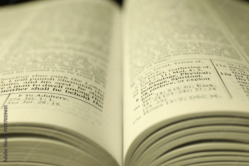Open Holy Bible in English language as background, closeup Open Holy Bible in English language as background, closeup