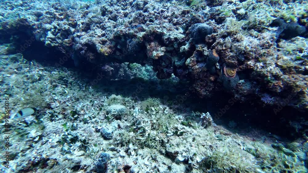 Opening in coral reef