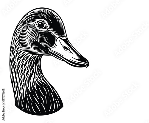 duck head black silhouette isolated vector art illustration with white background