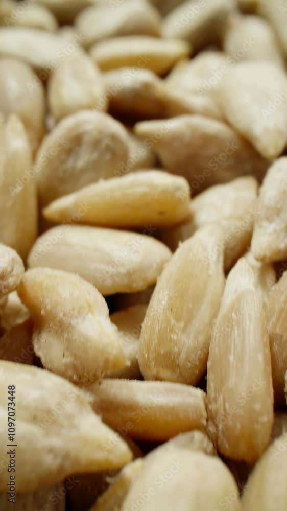 Pile of sunflower seeds without shell. Texture of sunflower kernels. Natural vegetarian food. Vertical video. Camera slide over seeds with macro lens. Vegan snack. Production line. Macro in 4K, UHD Pile of sunflower seeds without shell. Texture of sunflower kernels. Natural vegetarian food. Vertical video. Camera slide over seeds with macro lens. Vegan snack. Production line. Macro in 4K, UHD