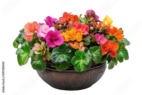 Wallpaper Mural Vibrant Floral Arrangement in Decorative Basket with Lush Green Leaves and Colorful Blooms Torontodigital.ca