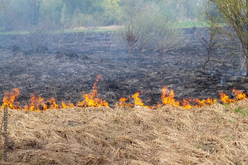 Dry grass is burning in the field.