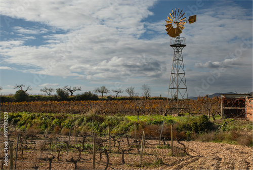 Traditional style spanish windmill used for pumping water up for irrigation of the vineyards