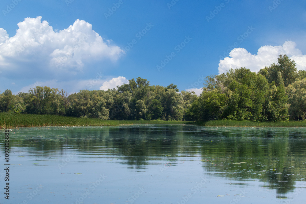 Obraz premium A calm lake with trees in the background
