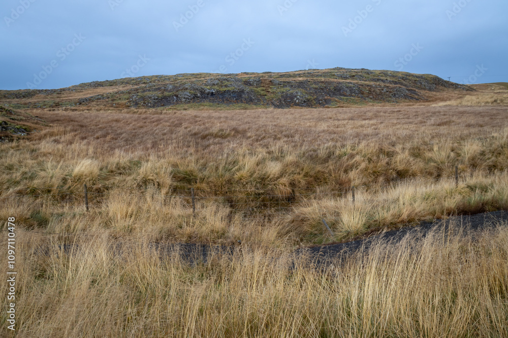 Landscape with a high dry grass, Borgarnes, Iceland Landscape with a high dry grass, Borgarnes, Iceland