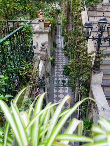 corridor with plants