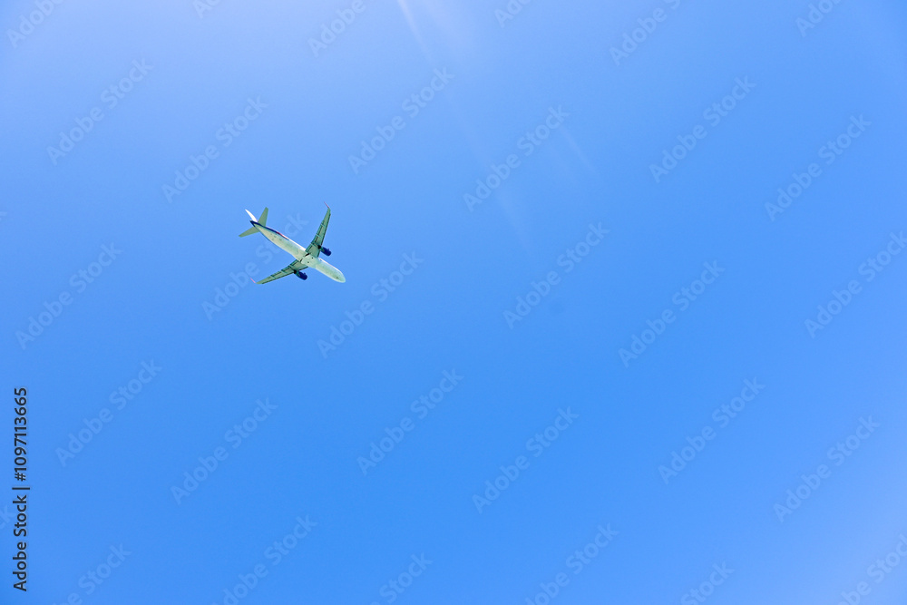 A green airplane flying high in a clear blue sky on a sunny day.