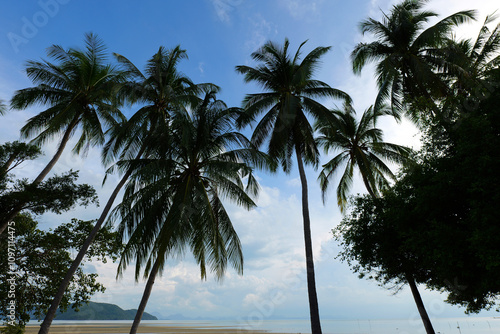 Tropical paradise with silhouetted palm trees against a blue sky and serene beach backdrop.