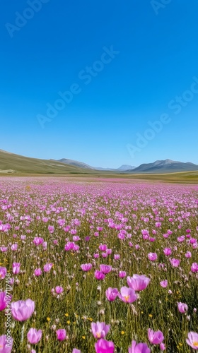 Pink flowers bloom against a clear blue sky during daytime in a vibrant garden