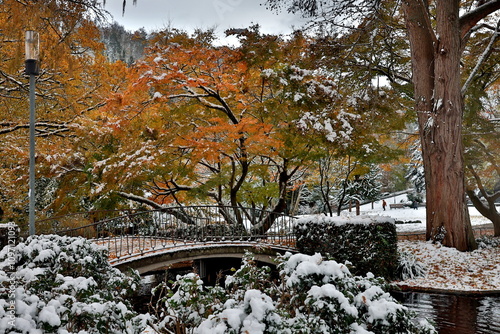 Herbst und Winter im Freiburger Stadtgarten photo