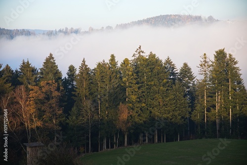 Landschaft mit aufsteigendem Nebel aus dem Wald photo