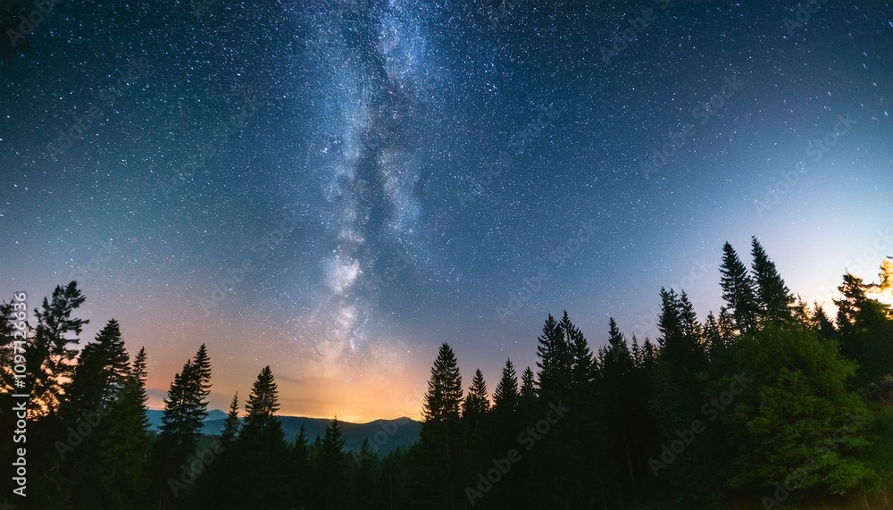 Starry Sky Over Quiet Forest Starry Sky Over Quiet Forest